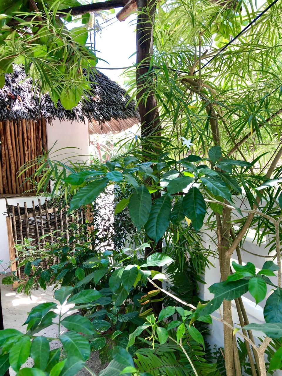 Zanzistar Lodge Jambiani  Buitenkant foto